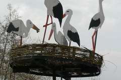 IMG_20210420_172830-min